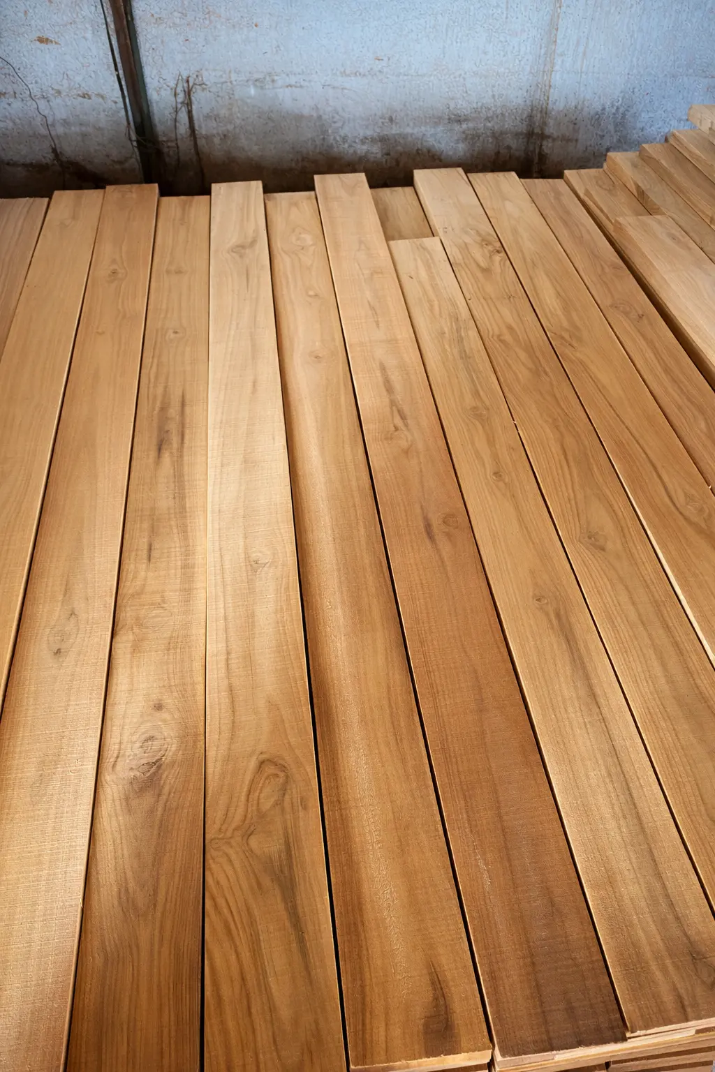 Mexico Teak