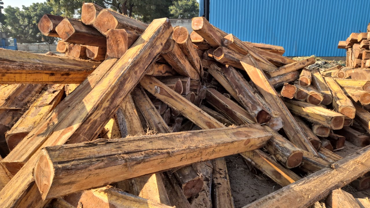 Teak Rough Squares